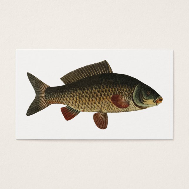 Peixe (Frente)