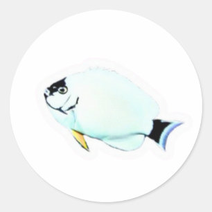 ​Peixe-Anjo Elegante Disfarçado Adesivo Recortado