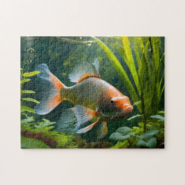 Peixe Art 2 Fácil cérebro Quebra-cabeça Fotografia (Horizontal)