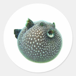 Peixe-Bola Manchado Divertido Adesivo - Peixe-Bola