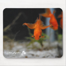Peixe dourado alaranjado Mousepad do Fantail de