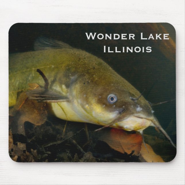 Peixe-gato Mousepad (Frente)