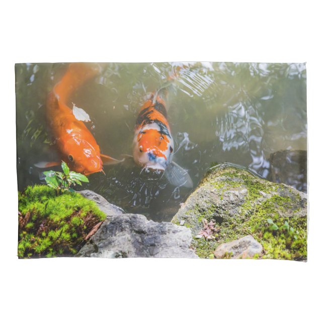 Peixe Koi numa lagoa (Frente)