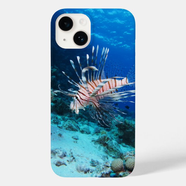 Peixe-leão ou Pterois Miles, Peixe de Recife Oceân (Verso)