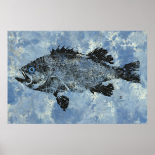 Peixe-Rockfish Preto em Azul - Poster de 36" x 24"