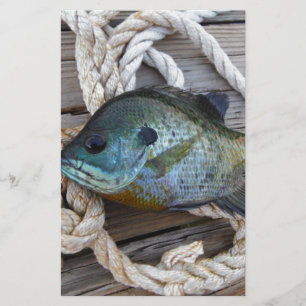 Peixes-Bluegill nas docas e cordas