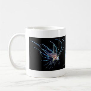 Peixes da caneca de café