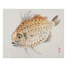 Peixes de Kōno Baire