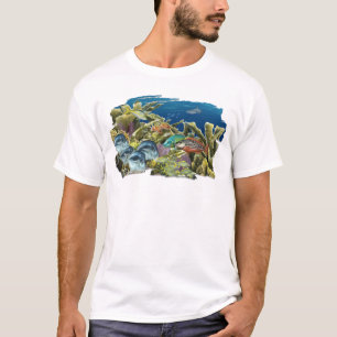 Peixes do recife sobre o t-shirt do coral de