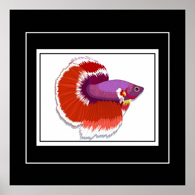 Peixes poster Tropicais (Frente)