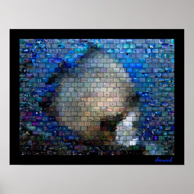 Peixes Tropicais 2 Poster de mosaicos (Frente)