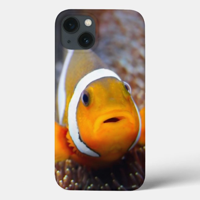 Peixes tropicais do recife - Clownfish (Verso)