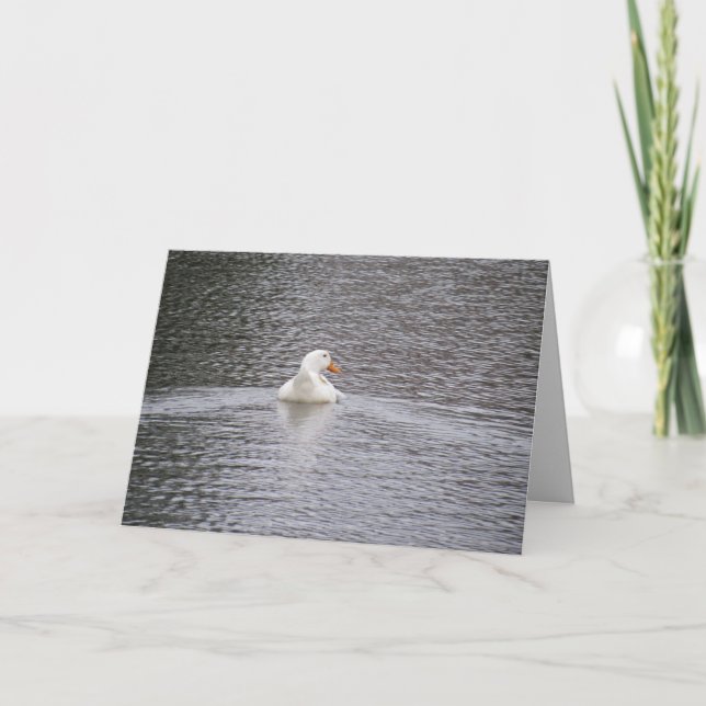 Pekin Duck a nadar fora do Cartão Saudação (Frente)