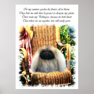 Pekingese Art Impressão