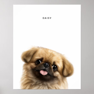 Pekingese Personalizado Impressão