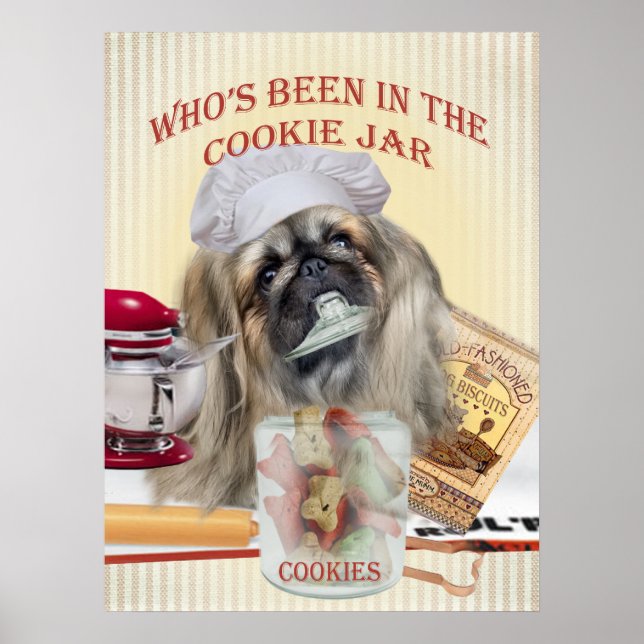 Pekingese que esteve no Poster do Cookie Jar (Frente)