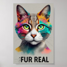 Pele Real: Um Poster de Gato Arco-Íris