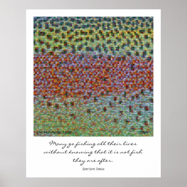 Peles de Peixe Montage Poster (Frente)