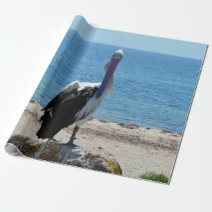 Pelican Com O Papel "Olhar", De Presente