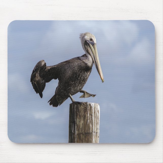 Pelican Mouse Pad (Frente)