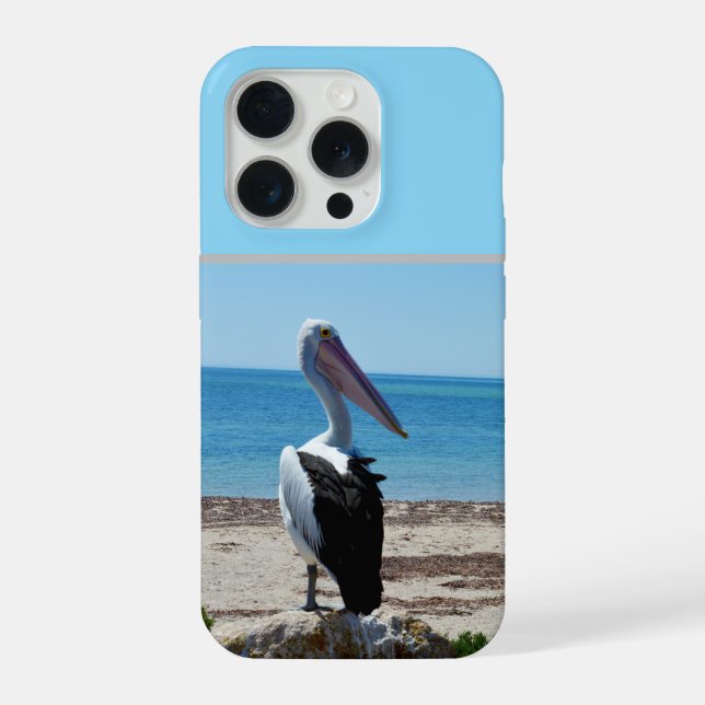 Pelican On Beach Rock, (Verso)