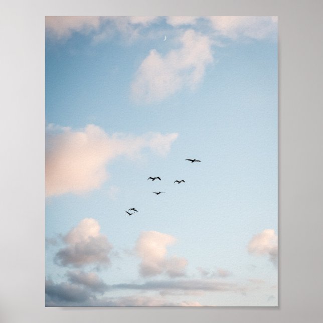 Pelican Sunset Print Poster Paper (Semi-Gloss) (Frente)