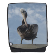 Pelicano da mochila para adultos do Peru