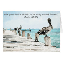 Pelicanos do cartão no cais, 136:25 do picosegundo