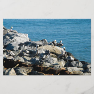 Pelicanos nas Rochas