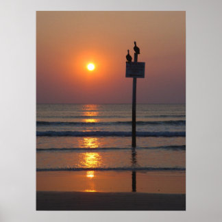 Pelicanos Sunrise Ocean Daytona Beach FL Poster