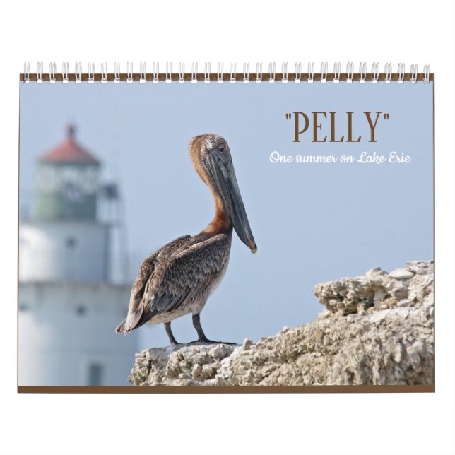 "Pelly - um verão calendário de parede no Lago (Capa)