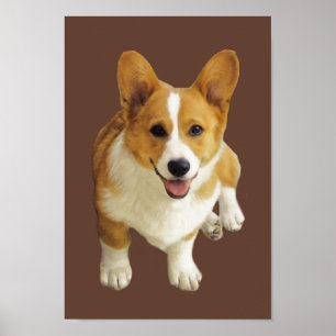 Pembroke Welsh Corgi Happy Impressão