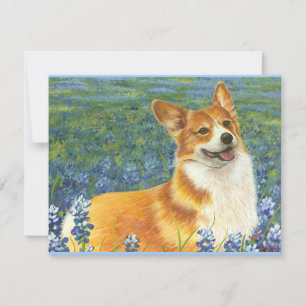 Pembroke Welsh Corgi no Texas Bluebonnets