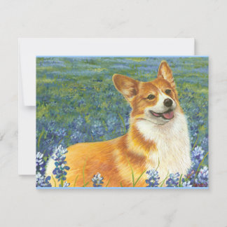 Pembroke Welsh Corgi no Texas Bluebonnets
