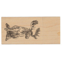 Moose Alaskan Sentada Cute
