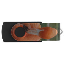 Movimentação do flash de USB do flamingo