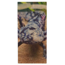 Unidade Flash Axolotl Wood