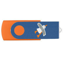 Vara de USB da arte: Laranja azul da gaivota do