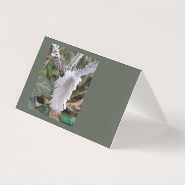 pena congelada (Frente)