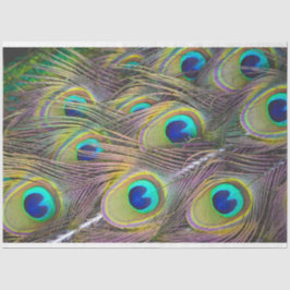 Penas de Peacock 1 Papel de Tecido de Decoupage