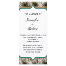 Penas de Peacock com Programa de Frame Duplo