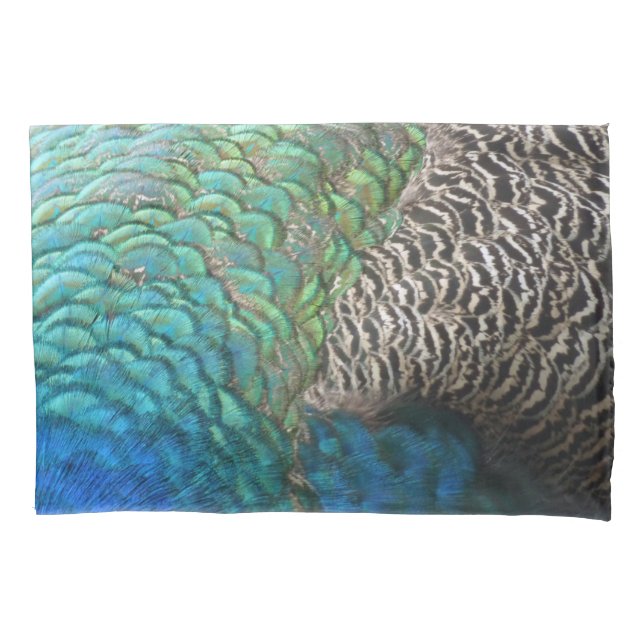 Penas de Peacock I Abstrato (Frente)