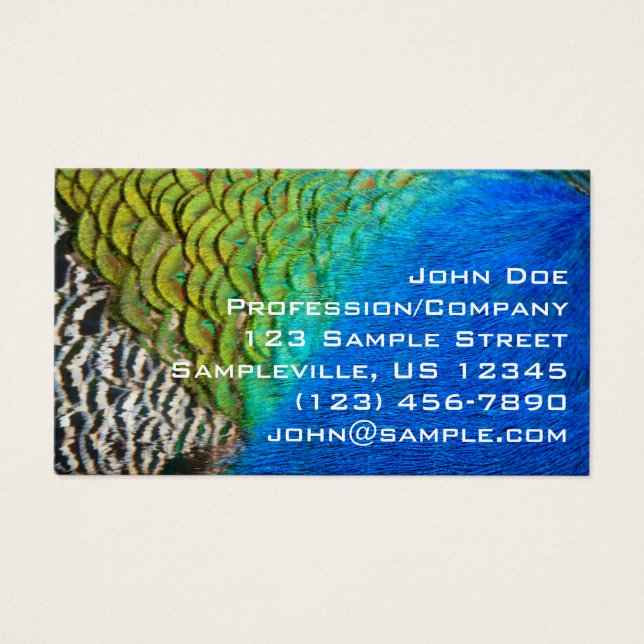 Penas de Peacock IV Abstrato (Frente)