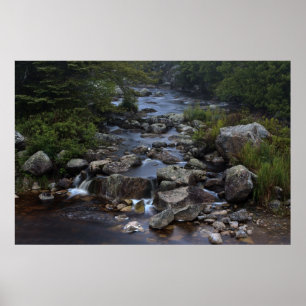 Pennant Brook III impressão de arte fina