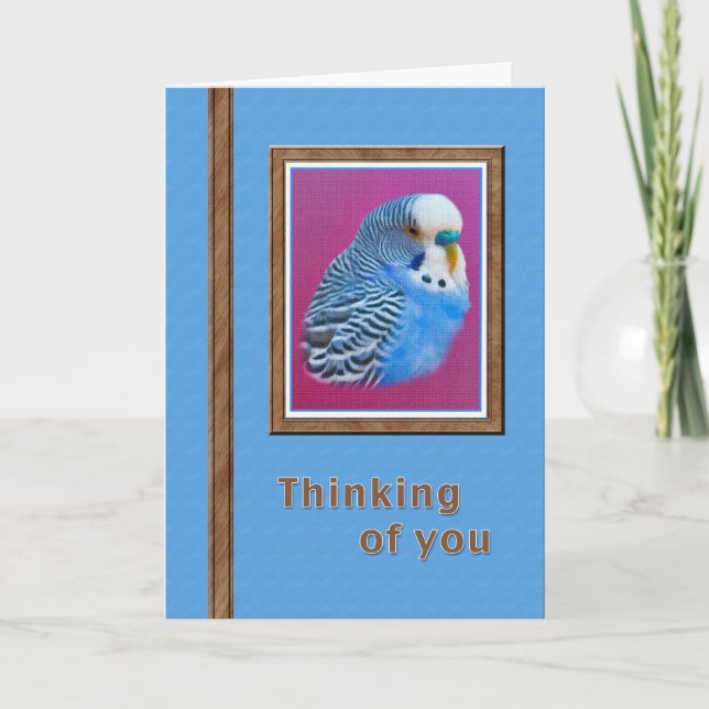Pensamento de você cartão com Parakeet azul (Frente)