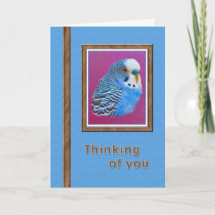 Pensamento de você cartão com Parakeet azul
