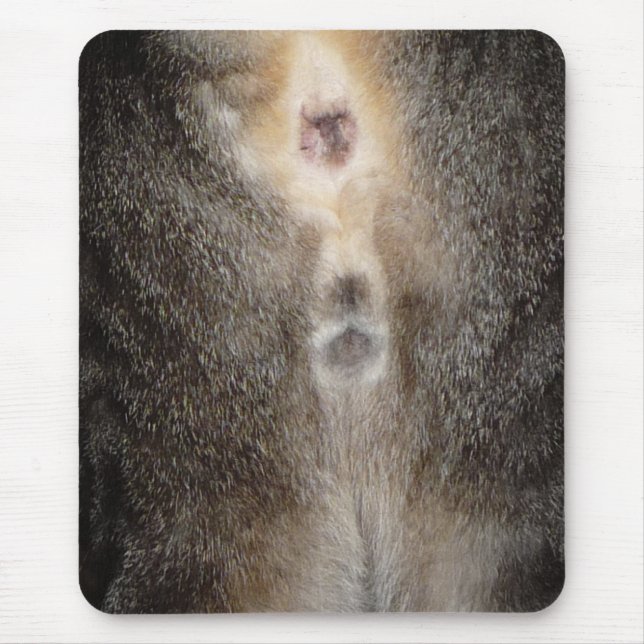 Pensamento de você gato Mousepad (Frente)