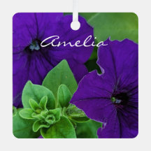 Pensamento Verso Positivo da Bíblia de Fotografias