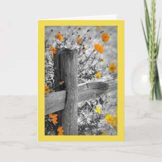 Pensamentos positivos & cartão do amor