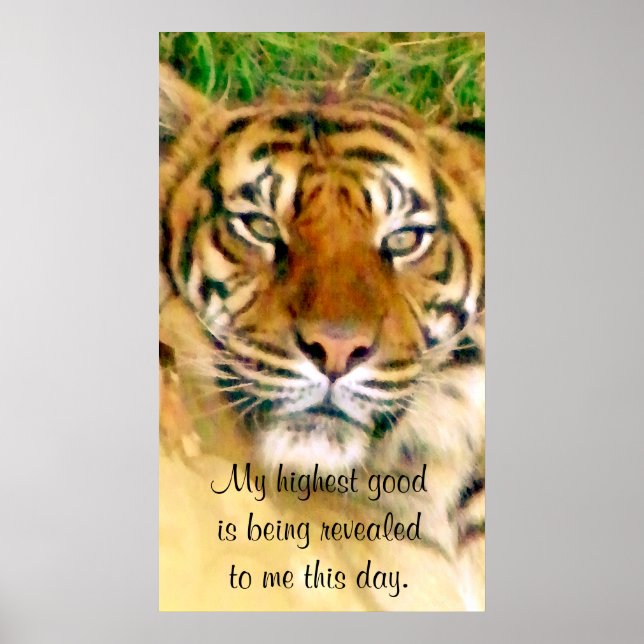 Pensando em Impressão (Frente)